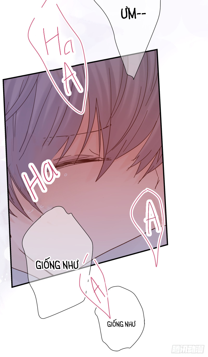 mối tình đầu gian nan của chu thành nhất chapter 43 19