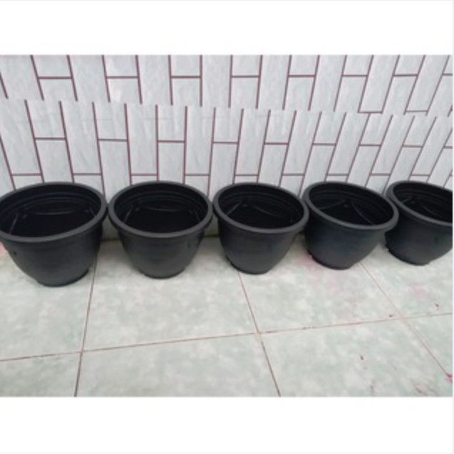 COMBO 5 Chậu Nơ Trồng Hoa Trồng Rau, Cây Cảnh HOLO-GREEN