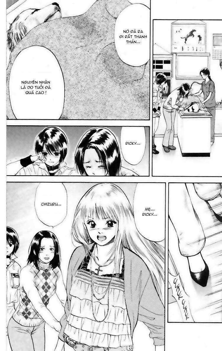 cô nàng yêu chó chapter 7 3