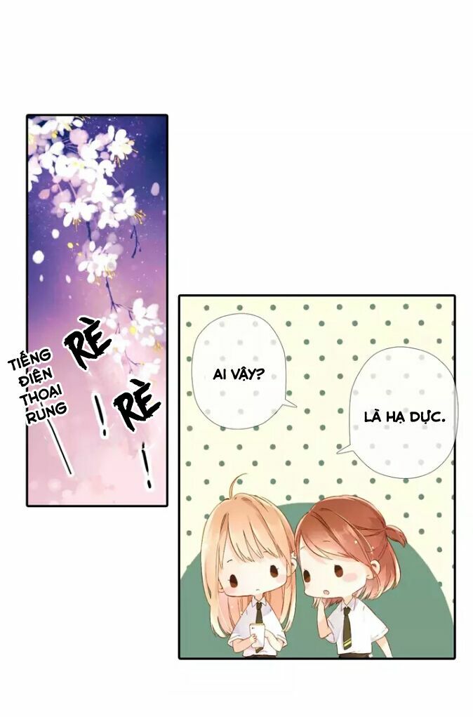 Tình yêu là màu hoa anh thảo chapter 27.2 5