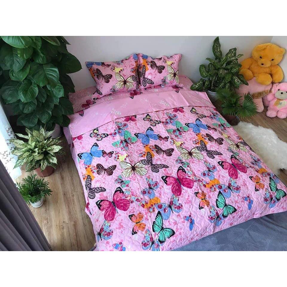 BỘ CHĂN GA COTTON POLY TRẦN BÔNG