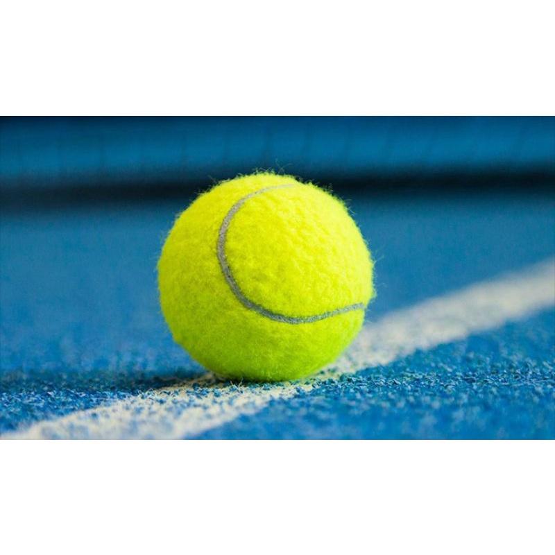 bóng tennis 95% làm đồ chơi luyện tập trang trí ứng dụng