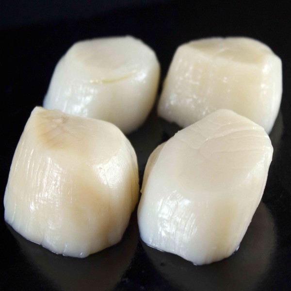 Cồi sò điệp nhật ép
