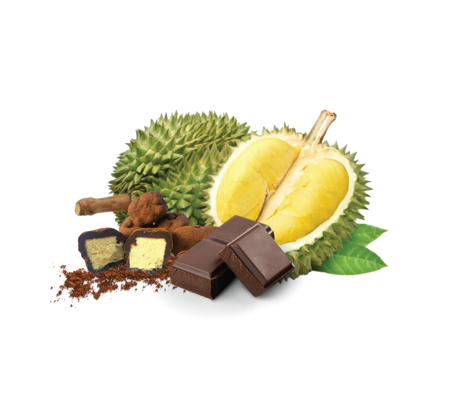 Socola sầu riêng tiramisu hộp 60g SHE Chocolate - Quà tặng du lịch phong cảnh Vịnh Hạ Long Quảng Ninh