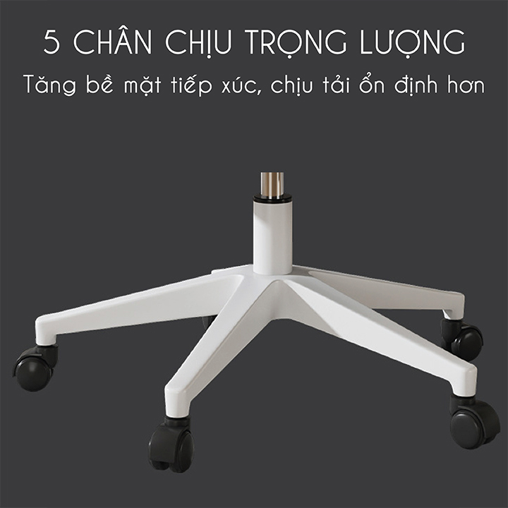 Ghế Văn Phòng Lưng Lưới Cao Cấp. Ghế Công Thái Học Ecomic Có Tựa Đầu Điều Chỉnh 3D. Nâng Hạ Độ Cao Tùy Chỉnh