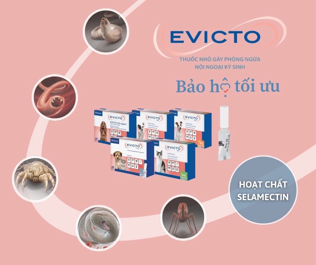 Virbac Evicto phòng bọ chét, rận tai, giun chó mèo (sản xuất tại Pháp)