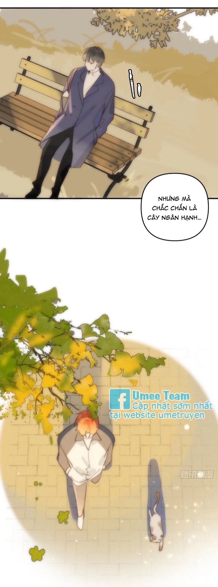 đêm đầy sao nói với em chapter 23 6