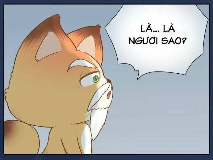 tiểu hồ ly vs tiểu hóa thượng chapter 59 19