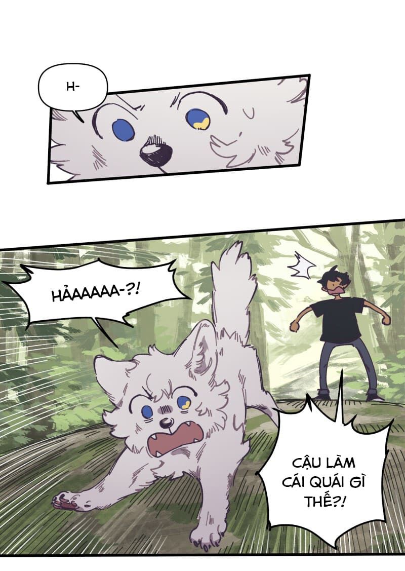 lumine - cội nguồn ánh sáng chapter 127 12