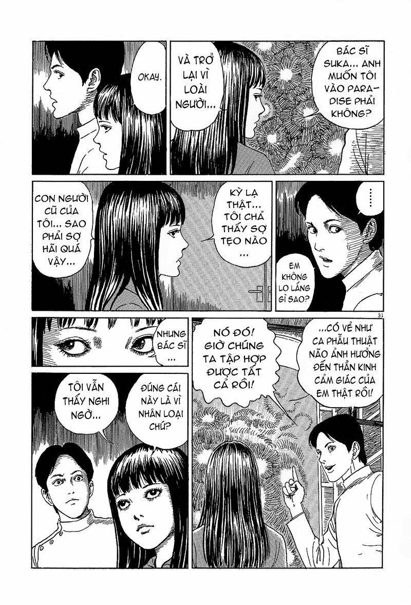 black paradox chapter 6 32