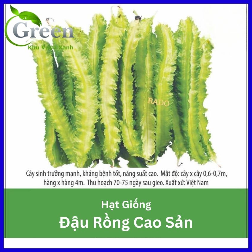 Hạt Giống Đậu Rồng Sai Trái