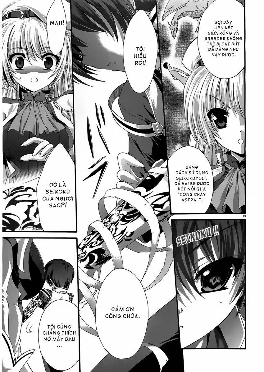 seikoku no dragonar chapter 3 19