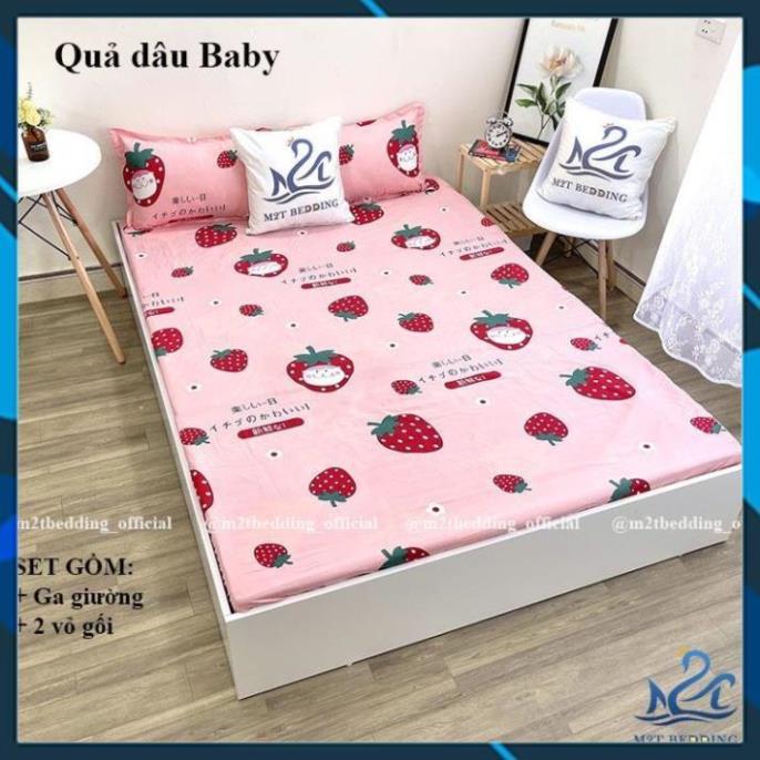 - Bộ 3 món ga gối Cotton Poly Hàn Quốc drap giường và 2 vỏ gối