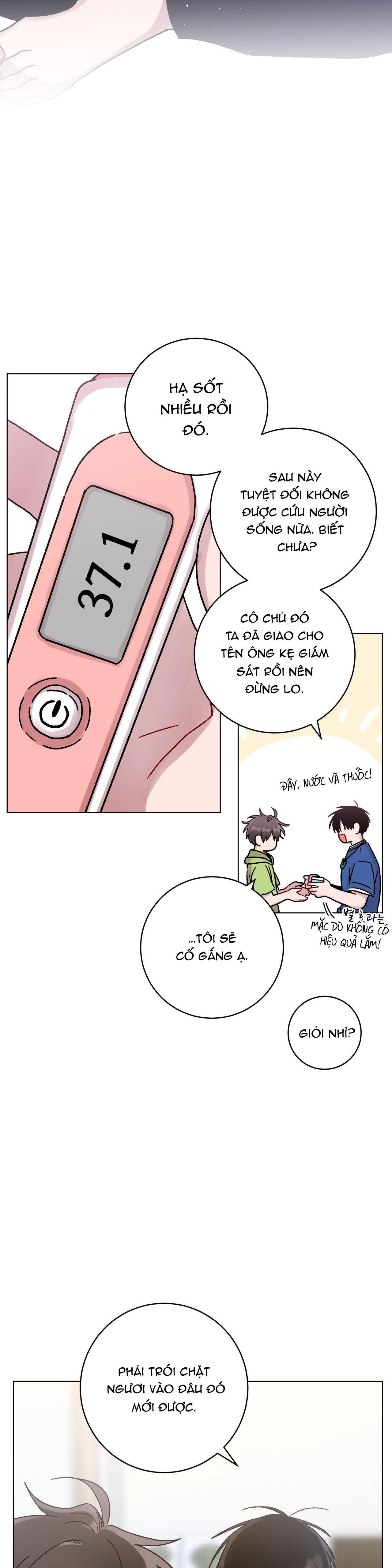 cơn mưa rào mùa hạ chapter 31 3