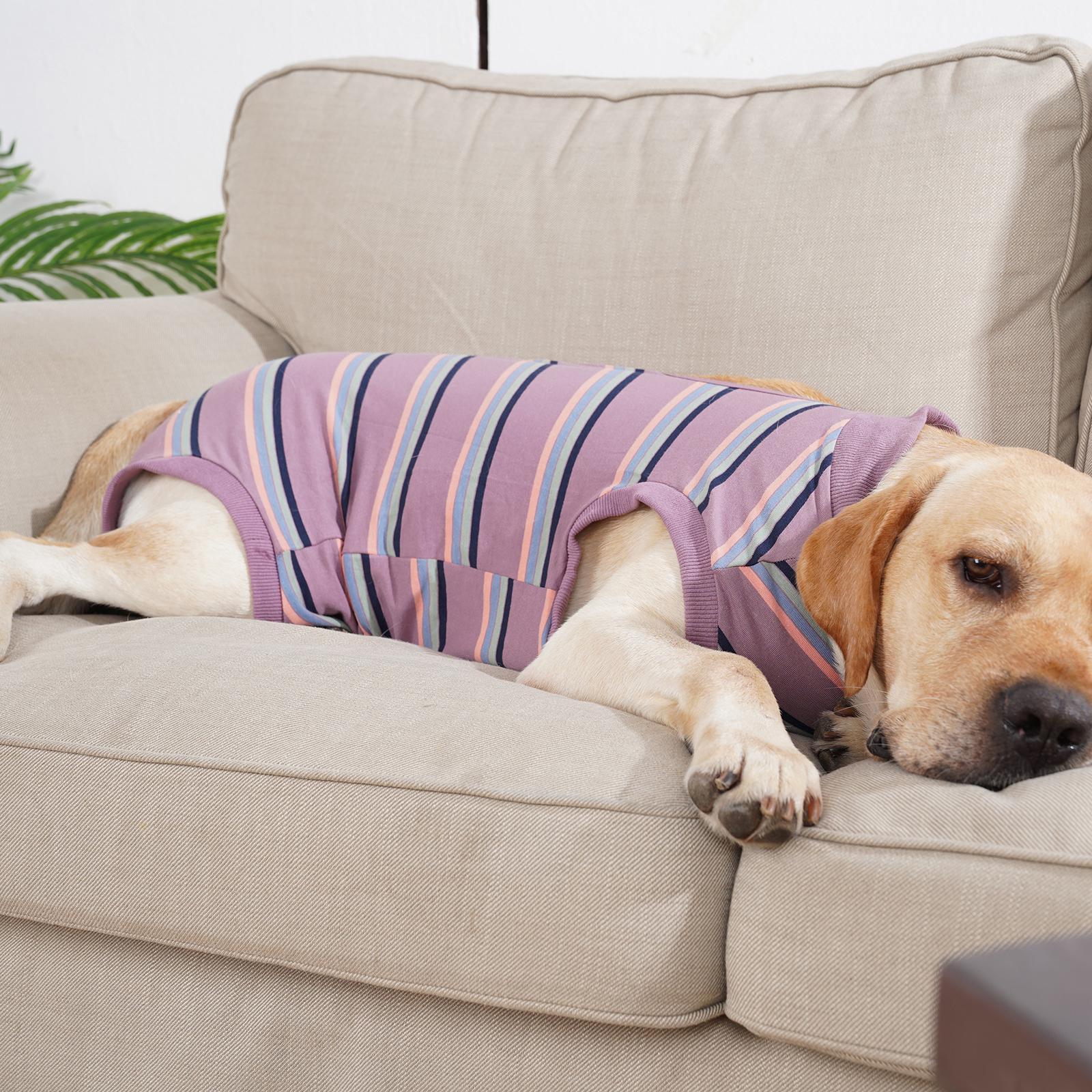 Pet Physiological Clothes Pet Supplies Breathable Nappy Jacket Dog Clothes