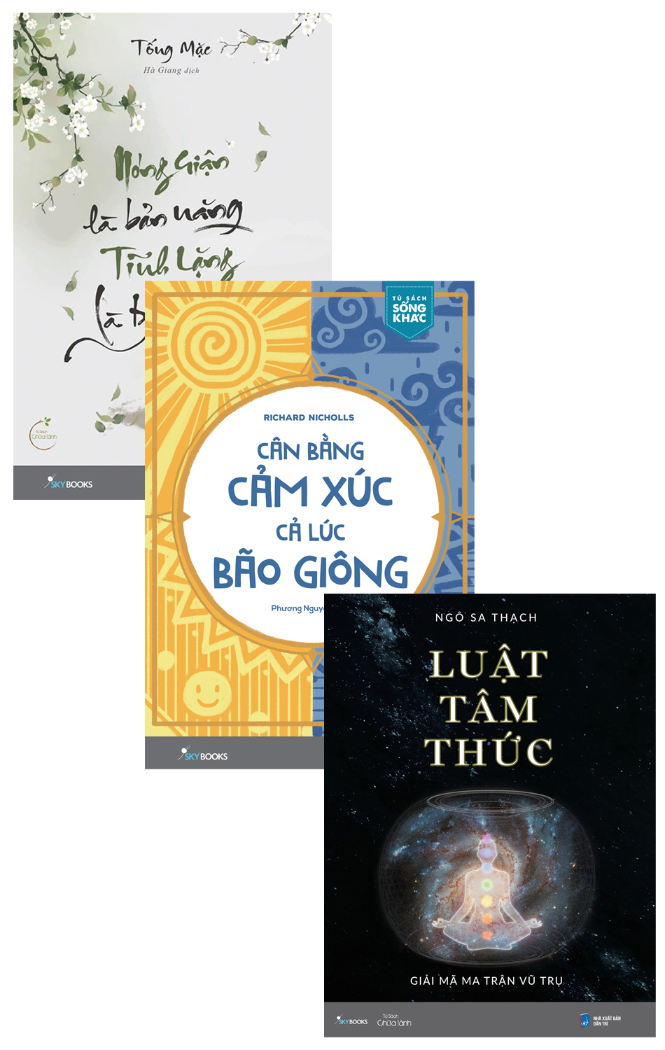 Combo Luật Tâm Thức + Cân Bằng Cảm Xúc Cả Lúc Bão Giông + Nóng Giận Là Bản Năng, Tĩnh Lặng Là Bản Lĩnh _AZ