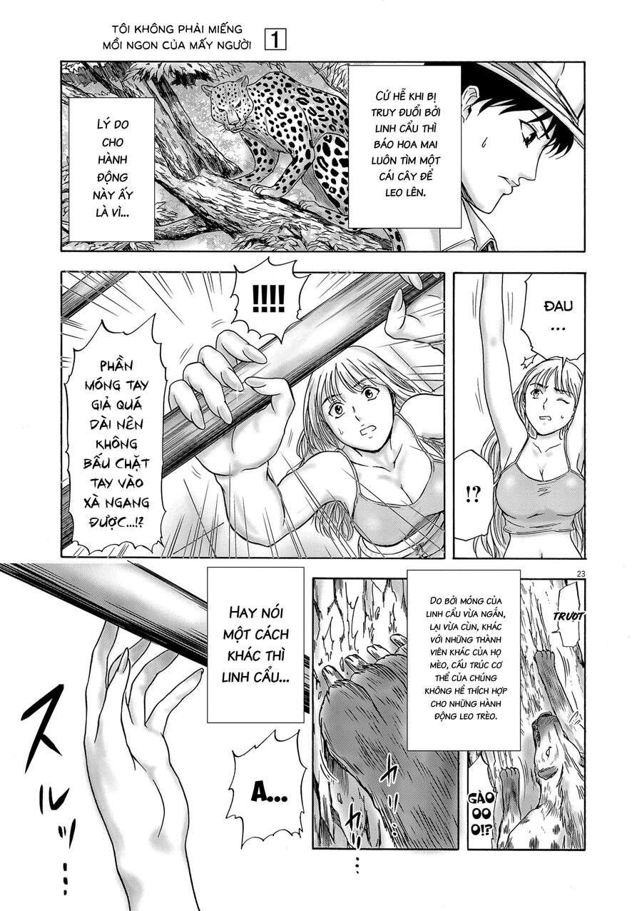 tôi không phải miếng mồi ngon của mấy người! chapter 3 23