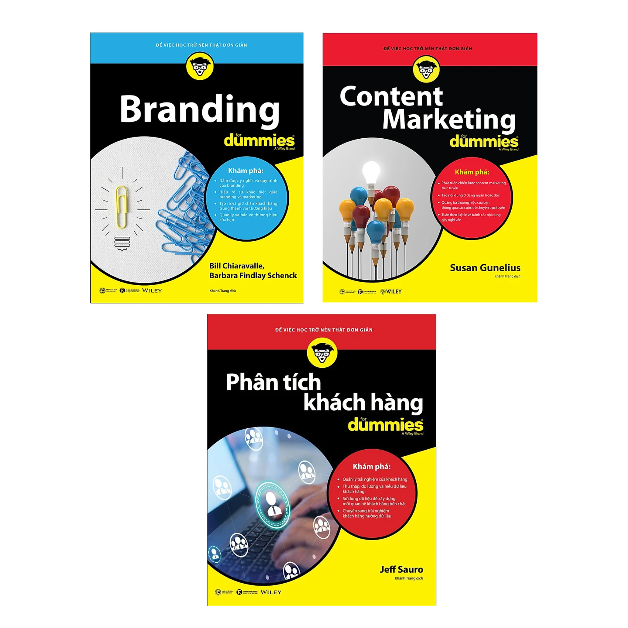 Combo 3 Cuốn Sách Marketing: Branding For Dummies + Content Marketing For Dummies + Phân Tích Khách Hàng For Dummies