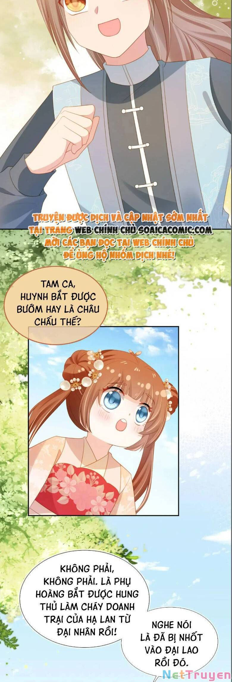 nhặt được bảo bối manh manh chapter 127 2