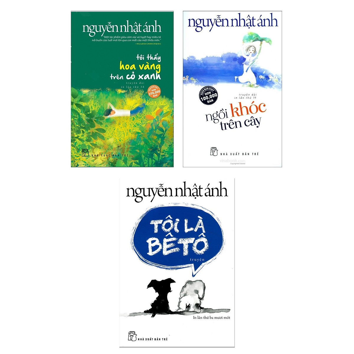 Combo 3 cuốn sách hay nhất của tác giả Nguyễn Nhật Ánh: Tôi Thấy Hoa Vàng Trên Cỏ Xanh + Ngồi Khóc Trên Cây + Tôi Là Bêtô Tặng cuốn rèn kỹ năng cho bé