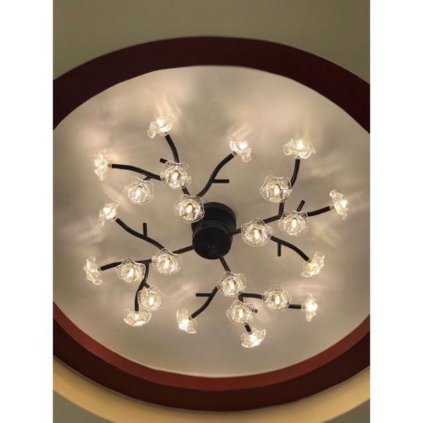 Đèn chùm, Đèn trần,đèn tô điểm phòng tiếp đón khách tay đèn D982/18 DT