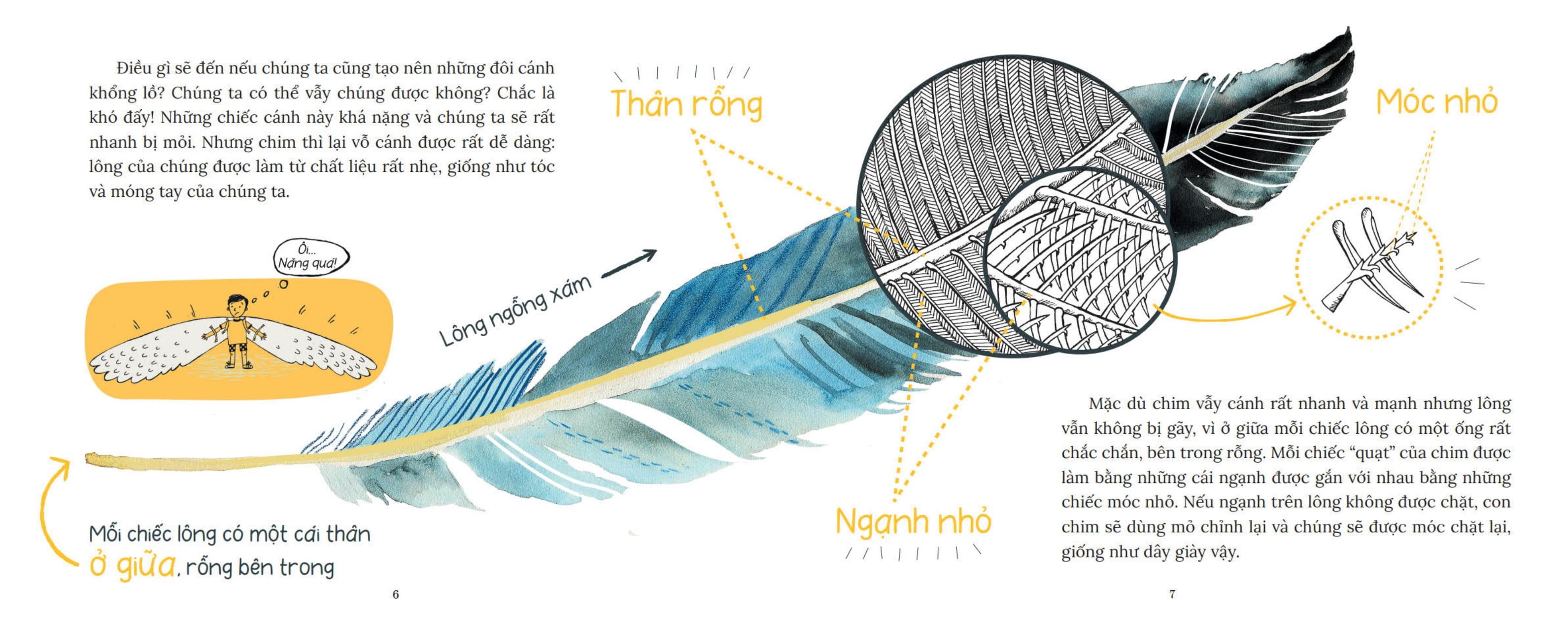 Sách - Khoa Học Bỏ Túi - Tại Sao Chim Bay Không Rơi?