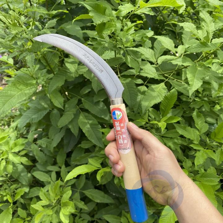 Dụng cụ cắt cỏ Buddy BC0020 cán gỗ