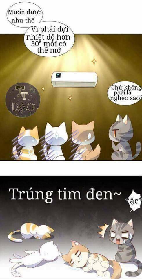 dưới móng vuốt mèo chapter 3 6