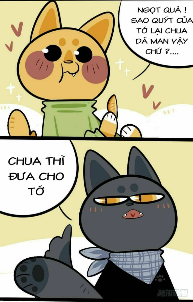 đời không như mình tưởng chapter 9 6