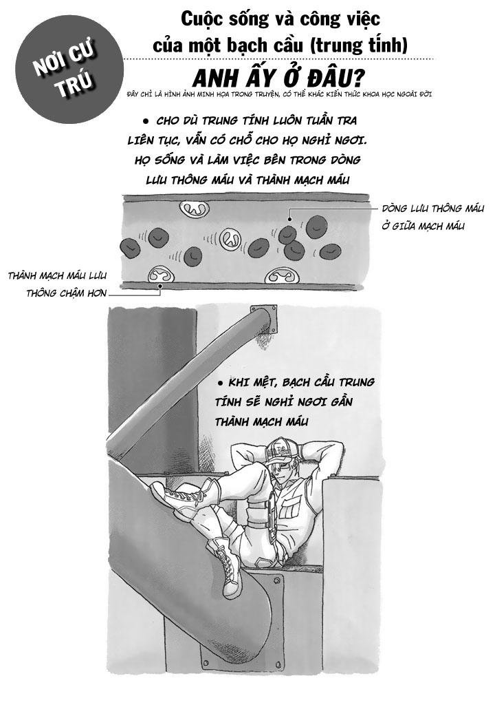 hataraku saibou! chapter 22 31