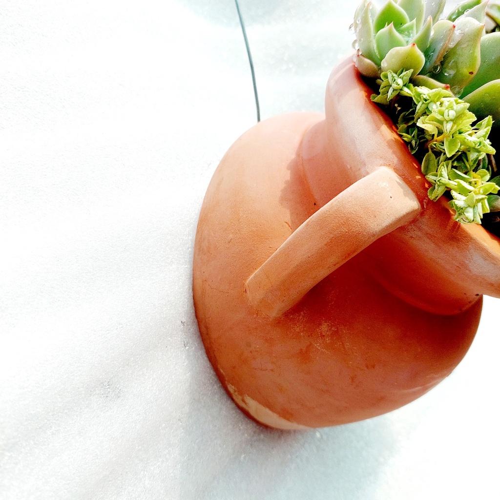 Chậu đất nung Bình Dương - Ốp tường quai - miệng chậu 9cm, chiều cao 17cm