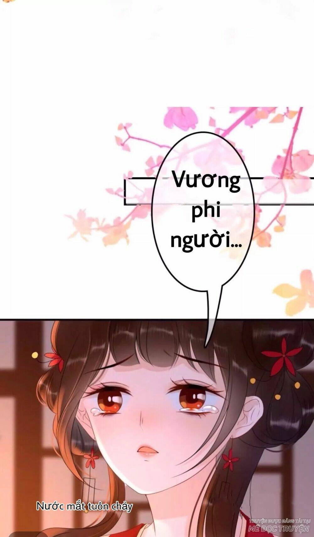 sủng phi của vương chapter 54 1