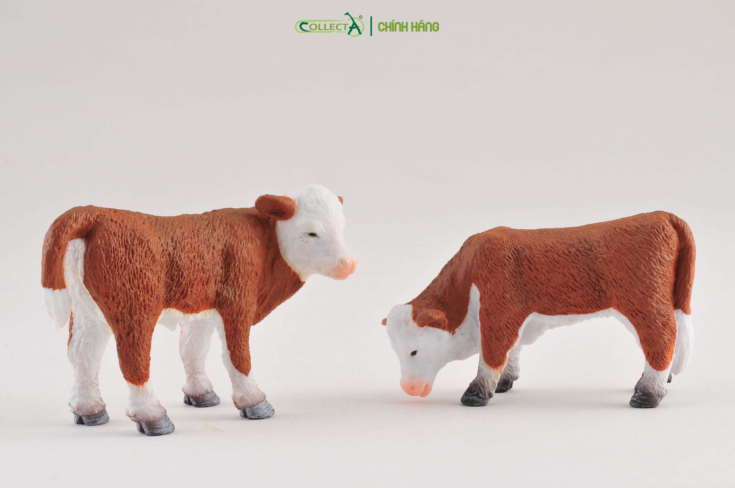 Mô hình thu nhỏ: Bò con Hereford - Gặm cỏ - Hereford Calf - Grazing, hiệu: CollectA, mã HS 9650191[88242] -  Chất liệu an toàn cho trẻ - Hàng chính hãng