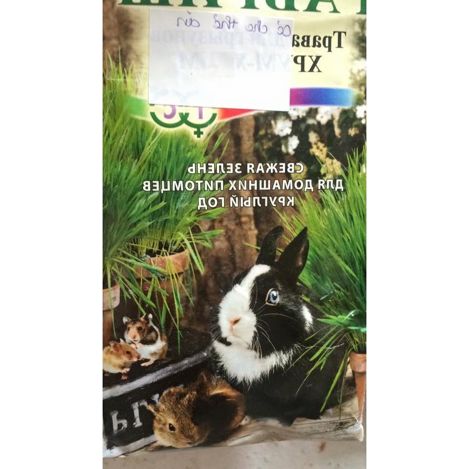 Hạt giống cỏ lúa mì lúa mạch - 1 gói 100gram