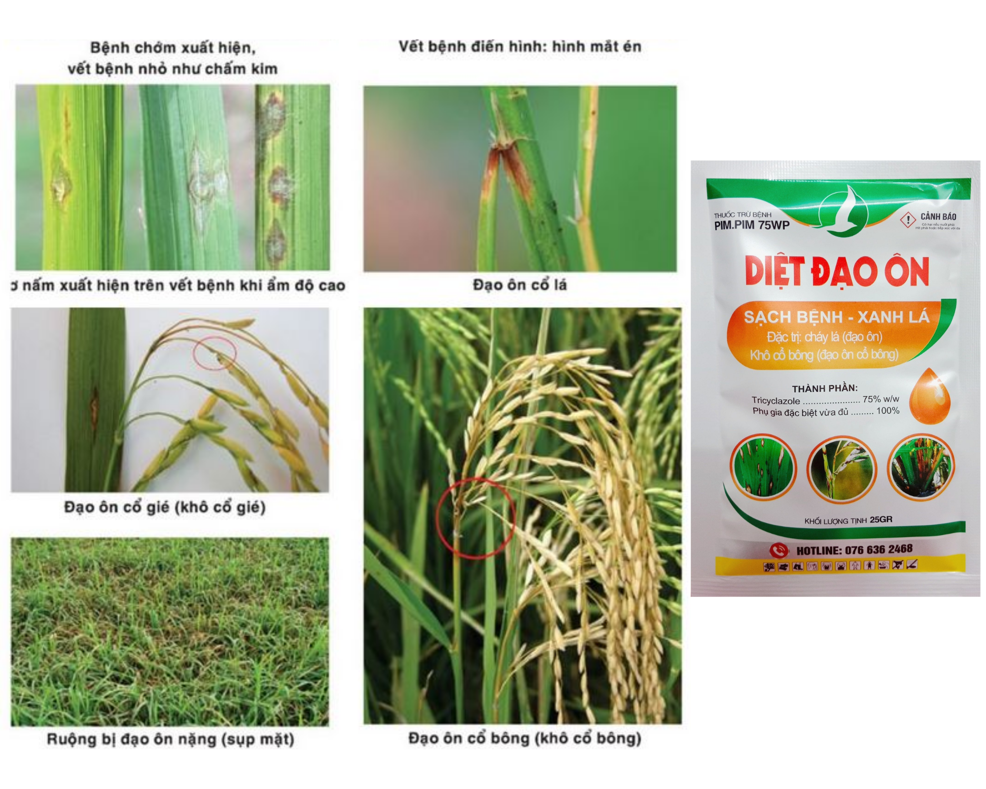 THUỐC DIỆT ĐẠO ÔN LÁ, ĐẠO ÔN CỔ BÔNG - DIỆT ĐẠO ÔN 25G