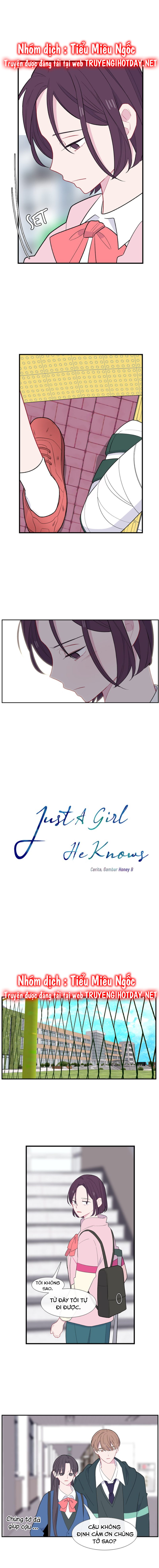 quay lại nhé chapter 66 3