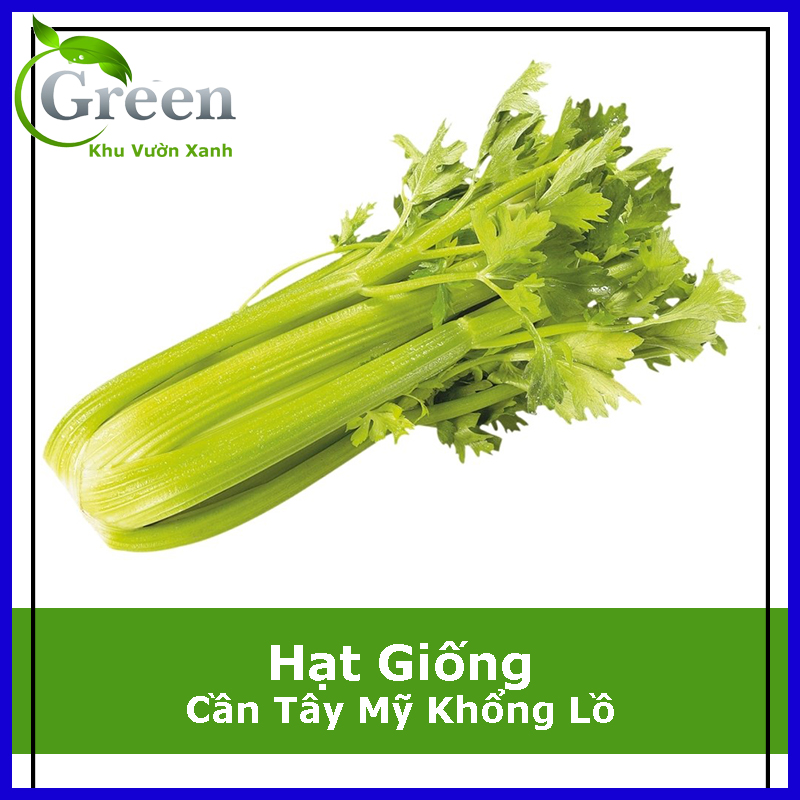 Hạt Giống Cần Tây Mỹ Khổng Lồ