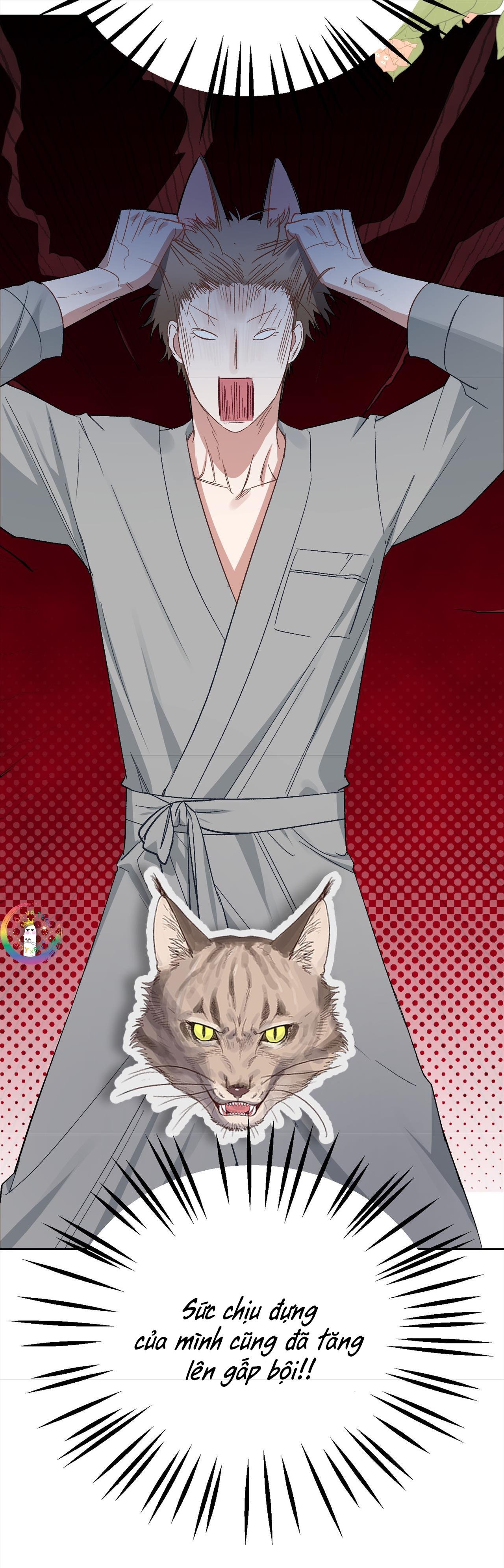 thỏ xuất tinh trong vòng 3 giây chapter 10 13