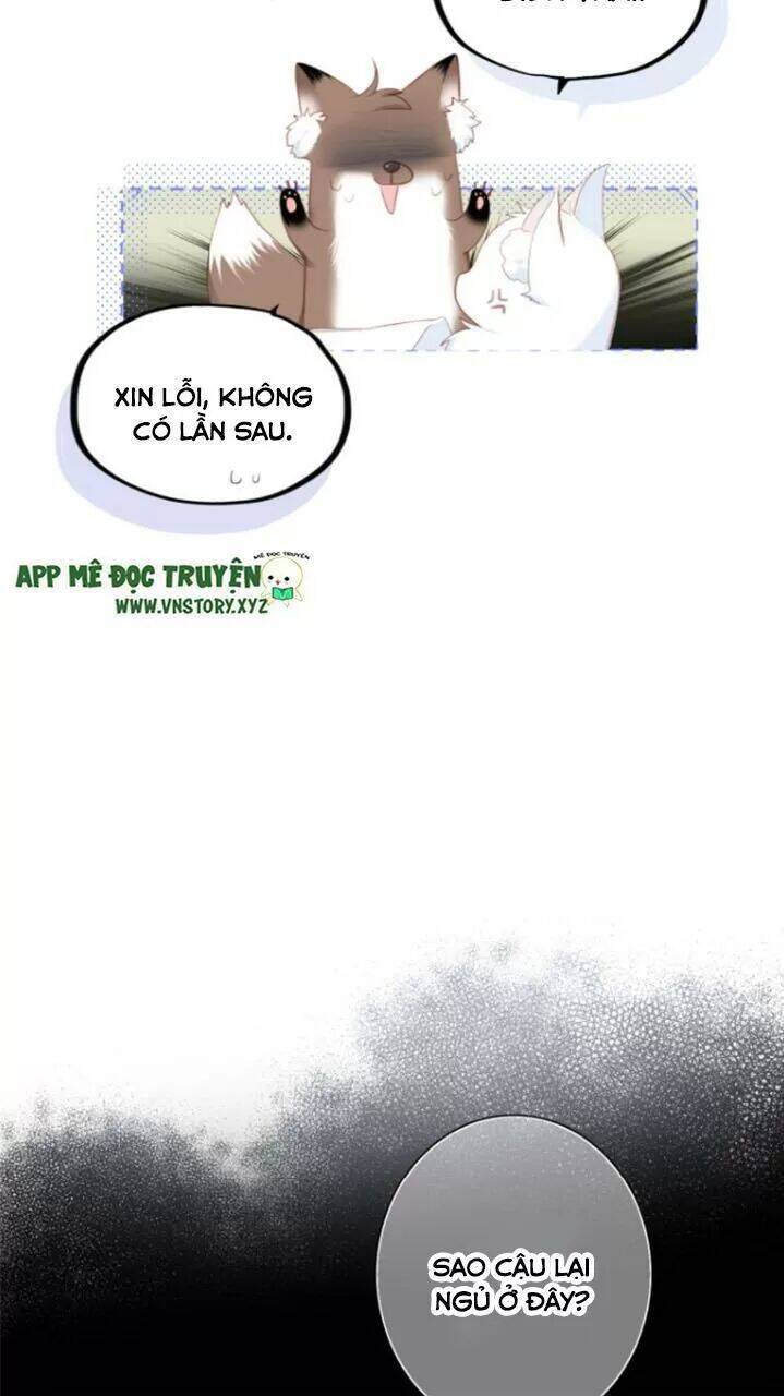 con tim rung động 2 chapter 123 20