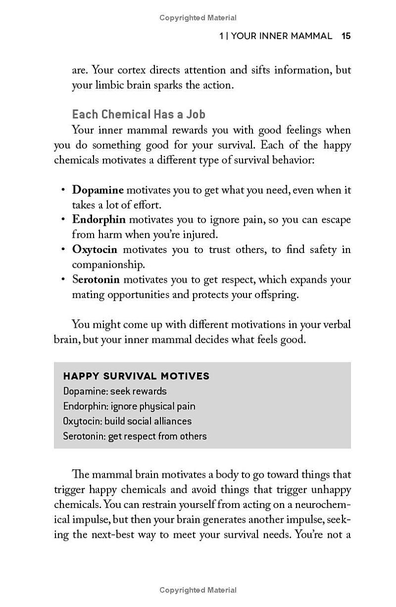 Sách ngoại văn: Habits Of A Happy Brain - Retrain Your Brain To Boost Your Serotonin, Dopamine, Oxytocin And Endorphin Levels