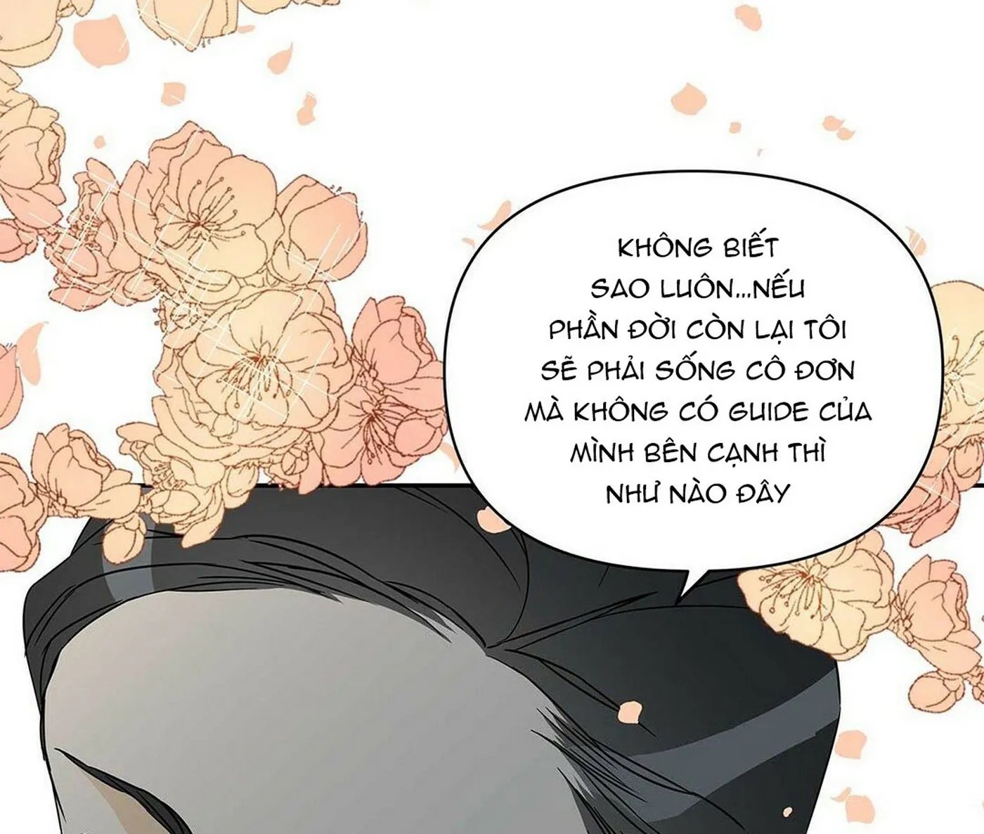 guide cấp b chapter 3 12