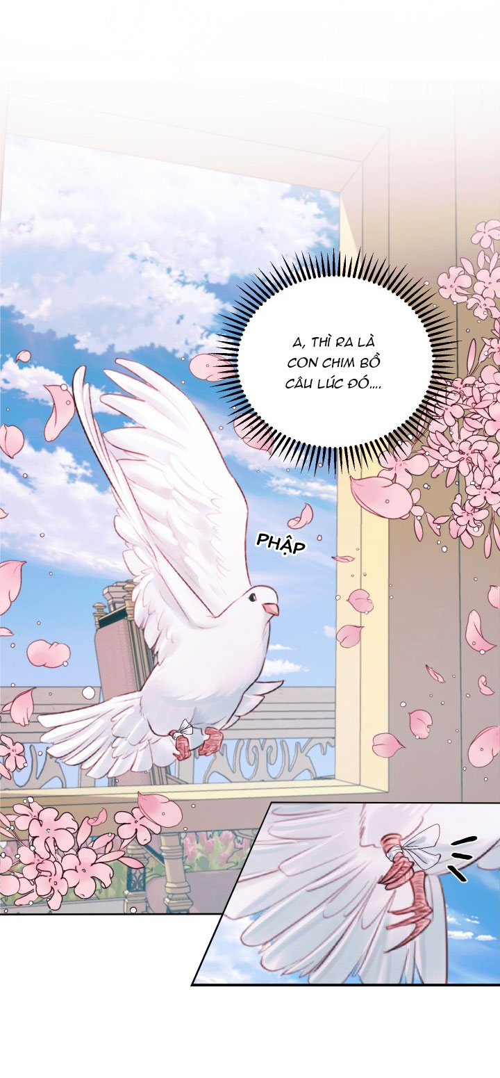 trở thành cô vợ khế ước của nhân vật phản diện chapter 12 49