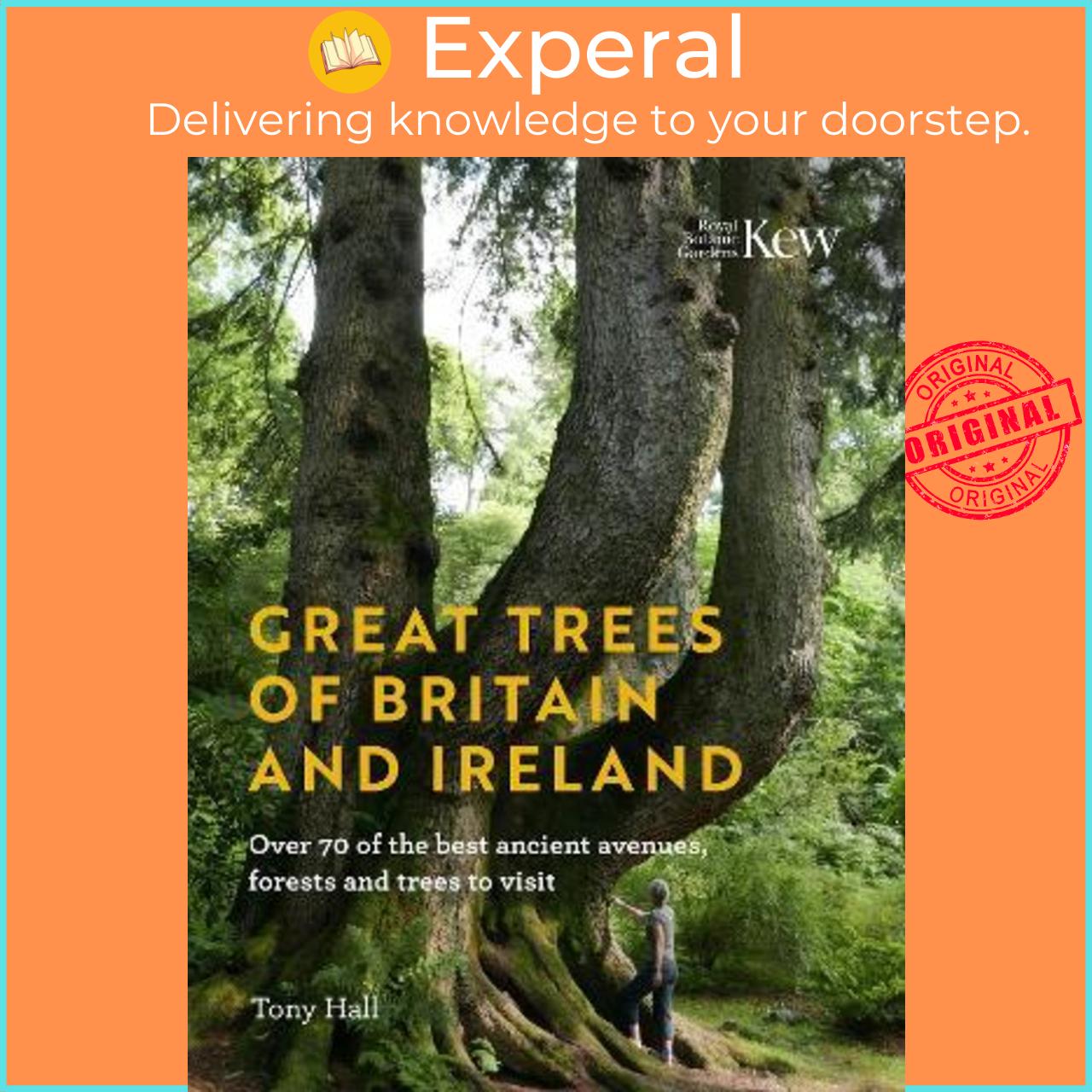 Sách - Great Trees of Britain and Ireland : Over 70 of the best ancient avenues, fo by Tony Hall
