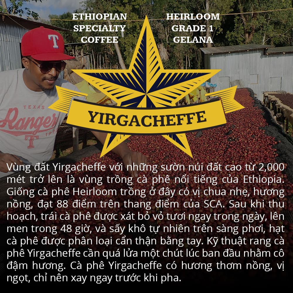 Specialty Coffee Nguyên Hạt Ethiopia Yirgacheffe 1864 CAFÉ 120g