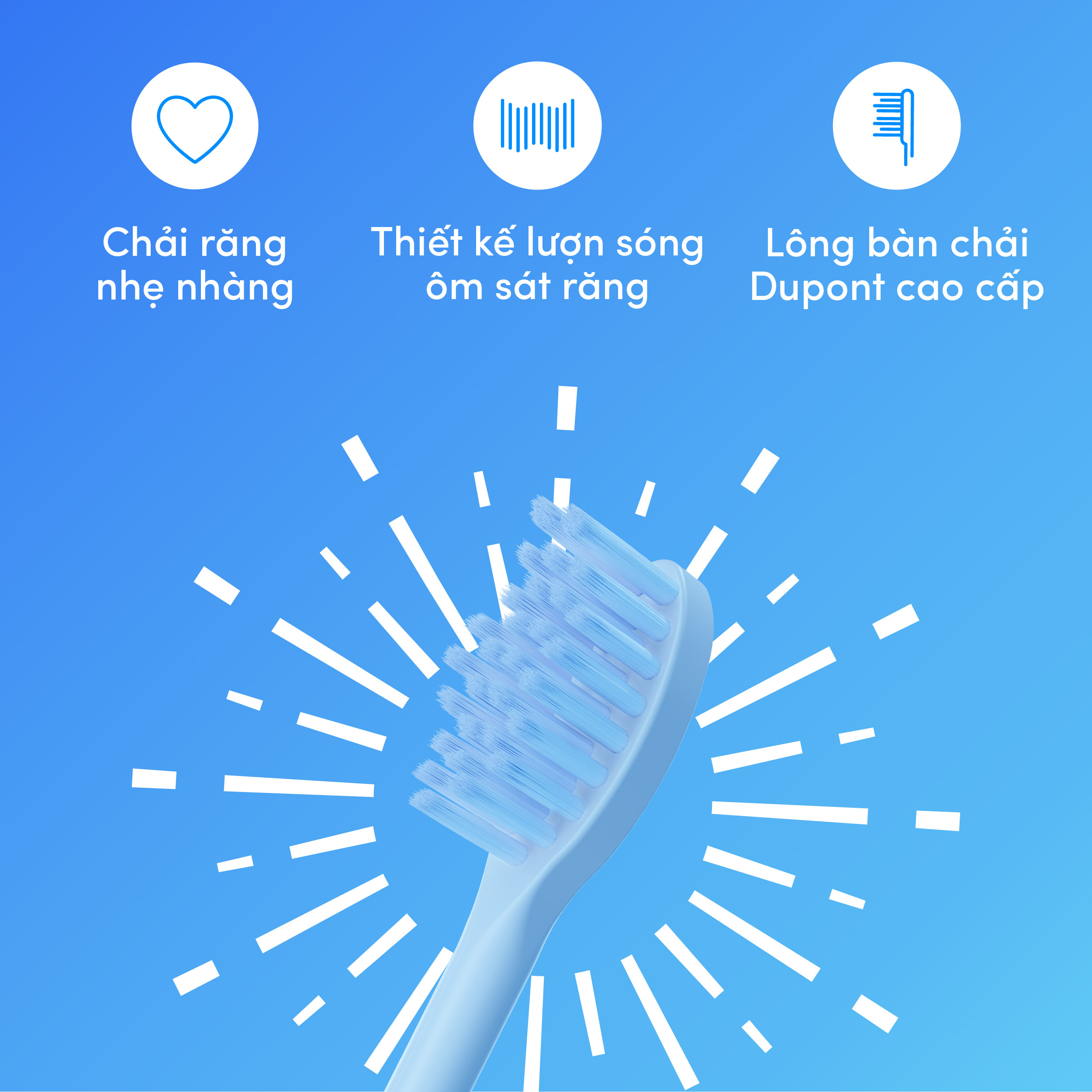 Bộ 2 Đầu thay thế bàn chải điện ZenyumSonic Spark