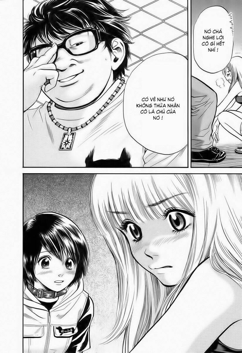 cô nàng yêu chó chapter 36 18