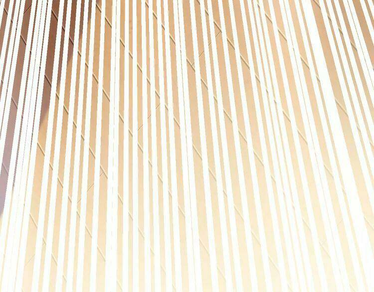 thực luyến kỳ duyên chapter 13 136