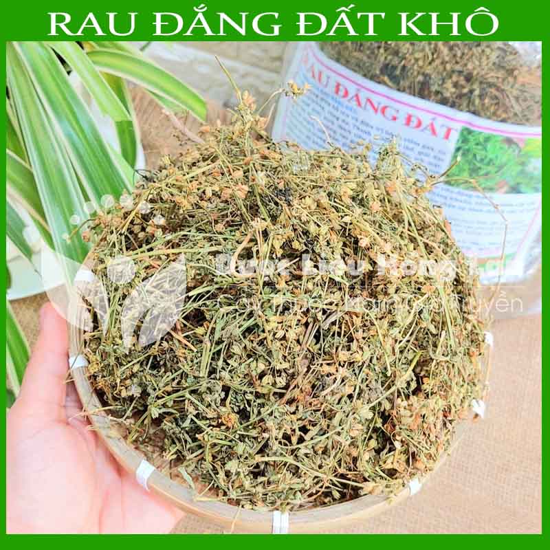 Cây Rau Đắng Đất khô sạch đóng gói 500gram