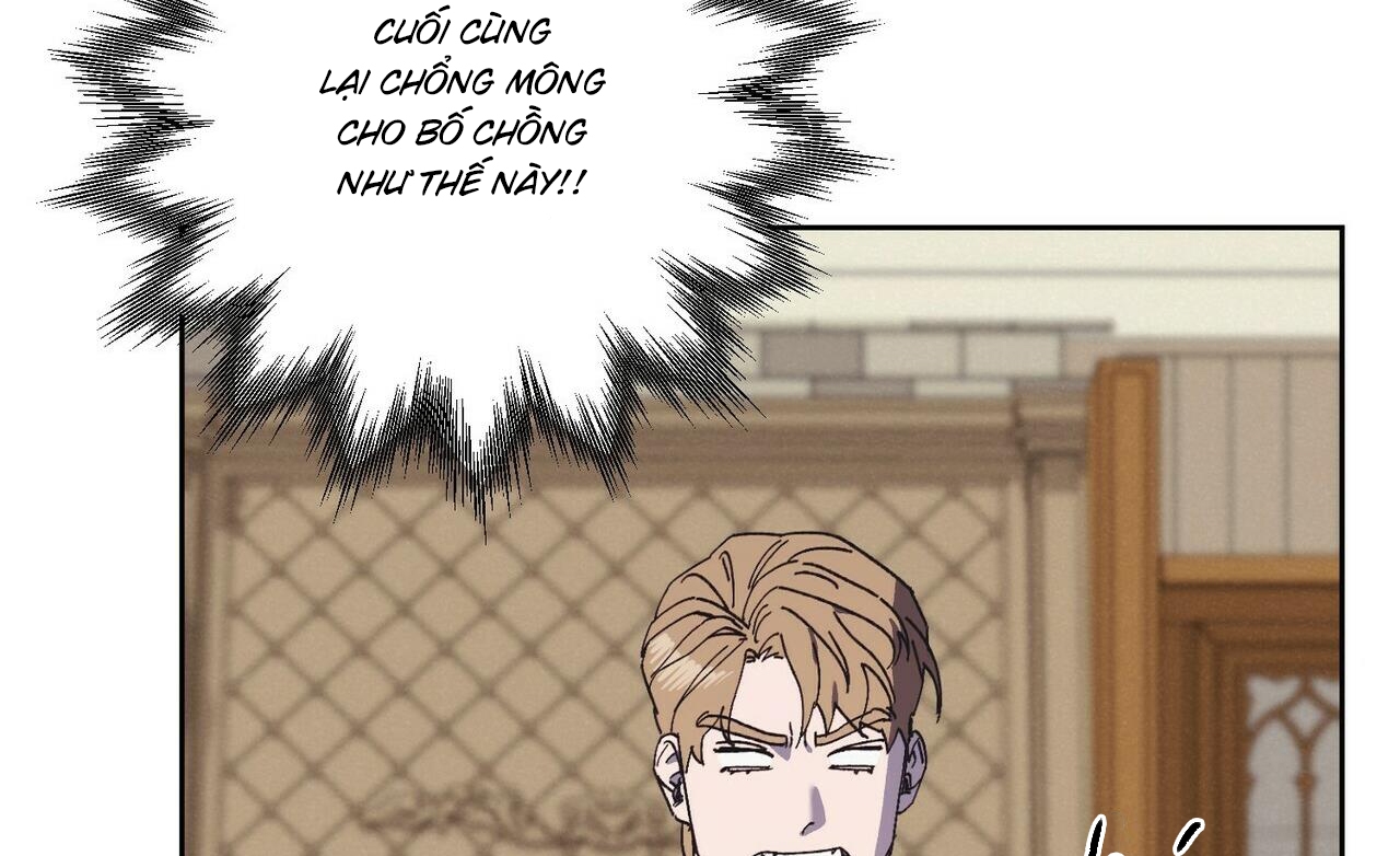 chàng dâu nhà họ kang chapter 29 34