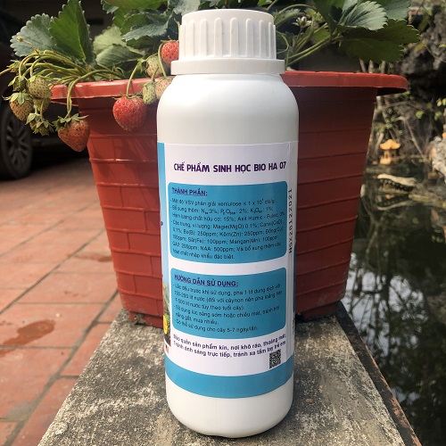 Combo 02 gói Phân bón sinh học Đạm Cá ORGANIC cải tạo đất, kích thích ra rễ, bật chồi, mập thân